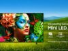 Samsung Luncurkan TV Mini LED Terjangkau dengan Fitur AI dan Layar hingga 100 Inci