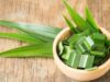 Ingin Kulit Sehat dan Bercahaya? Daun Pandan adalah Jawaban untuk Semua Masalah Kulit Anda