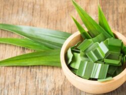 Ingin Kulit Sehat dan Bercahaya? Daun Pandan adalah Jawaban untuk Semua Masalah Kulit Anda