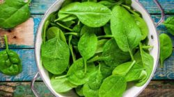 Ahli Nutrisi Ungkap Mengapa Makan Terlalu Banyak Bayam Tidak Baik untuk Kesehatan