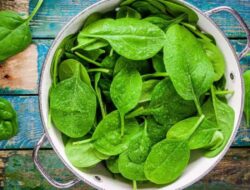 Ahli Nutrisi Ungkap Mengapa Makan Terlalu Banyak Bayam Tidak Baik untuk Kesehatan