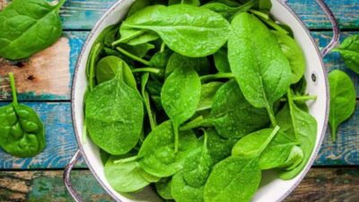Ahli Nutrisi Ungkap Mengapa Makan Terlalu Banyak Bayam Tidak Baik untuk Kesehatan