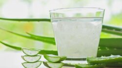 4 Alasan Super Meyakinkan untuk Minum Jus Lidah Buaya Saat Perut Kosong