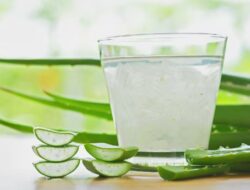 4 Alasan Super Meyakinkan untuk Minum Jus Lidah Buaya Saat Perut Kosong