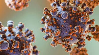 Terkait Hantavirus, Berikut ini Penjelasan Dinkes Jateng