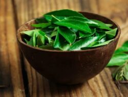 Daun Kari Dapat Mengobati Diabetes dan Anemia! Berikut Penjelasan Singkat tentang Herba Khas India Ini