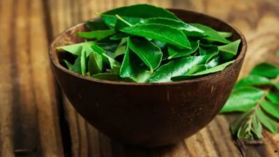 Daun Kari Dapat Mengobati Diabetes dan Anemia! Berikut Penjelasan Singkat tentang Herba Khas India Ini