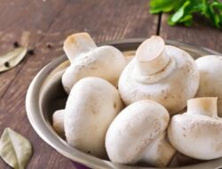 6 Alasan Menakjubkan Mengapa Jamur adalah Superfood Vegetarian Terbaik