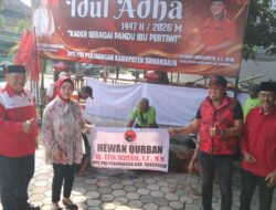 Idul Adha 2026, DPC PDIP Sukoharjo Sembelih 44 Hewan Kurban