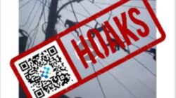 [HOAKS] Mati Listrik di Pulau Sumatra akibat Serangan Monyet