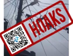 [HOAKS] Mati Listrik di Pulau Sumatra akibat Serangan Monyet