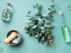 Tidak Hanya untuk Hidung Tersumbat, Minyak Eucalyptus dapat Menumbuhkan Rambut dan Menyembuhkan Jerawat