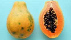 9 Hal tentang Manfaat Buah Pepaya untuk Kesehatan yang Penting Diketahui
