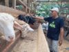 Upaya Jateng Memperkuat Ekosistem Halal, Sertifikasi untuk Juru Sembelih Diintensifkan