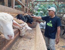 Upaya Jateng Memperkuat Ekosistem Halal, Sertifikasi untuk Juru Sembelih Diintensifkan