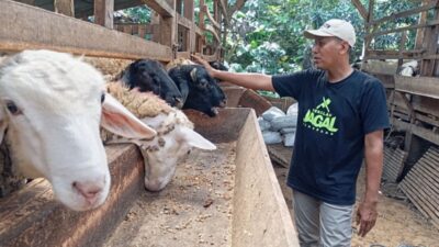 Upaya Jateng Memperkuat Ekosistem Halal, Sertifikasi untuk Juru Sembelih Diintensifkan