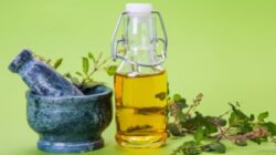 Konsumsi Daun Kemangi untuk Mengatasi Stres dan Mendapatkan Tidur yang Lebih Nyenyak