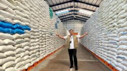Perkuat Cadangan Pemerintah, Bulog Serap Tiga Juta Ton Beras