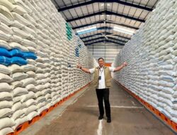 Perkuat Cadangan Pemerintah, Bulog Serap Tiga Juta Ton Beras