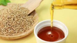Ahli Dermatologi Ungkap Minyak Wijen adalah Obat Mujarab untuk Semua Masalah Kulit