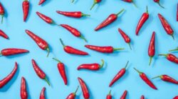 6 Makanan Pembakar Lemak Ini adalah yang Anda Butuhkan untuk Mencapai Tujuan Penurunan Berat Badan Anda