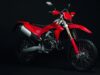 Motor Enduro Ducati Desmo450 EDS Diluncurkan, Cek Spesifikasi dan Harganya