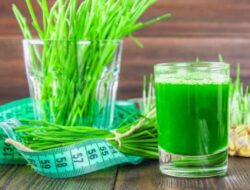 Dapatkan Kulit Bercahaya dan Turunkan Berat Badan Secara Alami dengan Jus Rumput Gandum