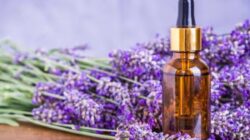 Dari Pertumbuhan Rambut hingga Pengobatan Jerawat: 6 Manfaat Minyak Lavender untuk Kulit dan Rambut Anda