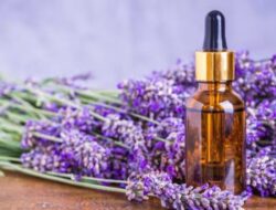 Dari Pertumbuhan Rambut hingga Pengobatan Jerawat: 6 Manfaat Minyak Lavender untuk Kulit dan Rambut Anda