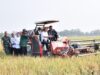 Momen Panen Padi Bersama Gubernur Jateng, Petani Sukoharjo Minta Bantuan Alsintan