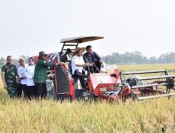 Momen Panen Padi Bersama Gubernur Jateng, Petani Sukoharjo Minta Bantuan Alsintan