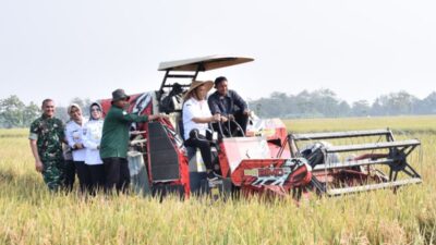 Momen Panen Padi Bersama Gubernur Jateng, Petani Sukoharjo Minta Bantuan Alsintan