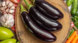 Bergembiralah Para Pecinta Terong! Sayuran Ini Dapat Mengurangi Risiko Penyakit Jantung dan Diabetes