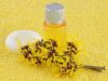 Semua yang Perlu Anda Ketahui tentang Witch Hazel, Obat Ajaib untuk Jerawat