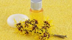 Semua yang Perlu Anda Ketahui tentang Witch Hazel, Obat Ajaib untuk Jerawat