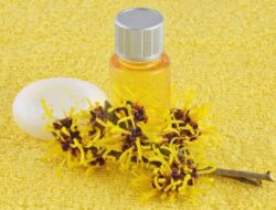 Semua yang Perlu Anda Ketahui tentang Witch Hazel, Obat Ajaib untuk Jerawat