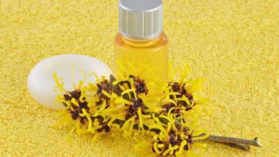 Semua yang Perlu Anda Ketahui tentang Witch Hazel, Obat Ajaib untuk Jerawat