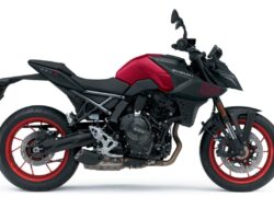 Suzuki GSX-8S 2026 Tampil dengan Pilihan Warna Baru
