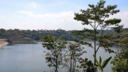Bendungan Jlantah Perkuat Ketahanan Pangan Jateng, Mampu Mengairi Ribuan Hektare Lahan Pertanian