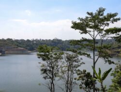 Bendungan Jlantah Perkuat Ketahanan Pangan Jateng, Mampu Mengairi Ribuan Hektare Lahan Pertanian
