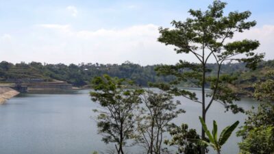 Bendungan Jlantah Perkuat Ketahanan Pangan Jateng, Mampu Mengairi Ribuan Hektare Lahan Pertanian