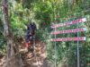 Upaya Pemprov Jateng Cegah Karhutla, Bentuk Satgas dan Perkuat 46 Masyarakat Peduli Api