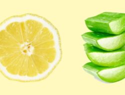 Saya Mencampur Gel Lidah Buaya dengan Jus Lemon dan Diberkati dengan Kulit Bercahaya
