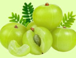 5 Alasan Berbasis Sains Mengapa Amla adalah Solusi untuk Semua Masalah Rambut Anda