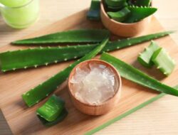 5 Alasan Mengapa Gel Lidah Buaya Merupakan Berkah untuk Kulit dan Rambut Anda