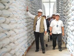 Hingga 24 Juli, Bulog Berhasil Serap 3,5 Juta Ton Setara Beras Petani