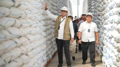 Hingga 24 Juli, Bulog Berhasil Serap 3,5 Juta Ton Setara Beras Petani