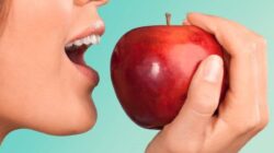 Merasa Sembelit? Coba 5 Makanan Ini yang Dapat Membantu Anda Buang Air Besar