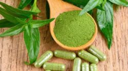 Diabetes, Sakit Tenggorokan, dan Banyak Lagi! Ini 12 Manfaat Tanaman Herbal Pahit Sambiloto