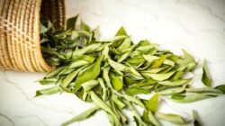 Penurunan Berat Badan dan 6 Manfaat Kesehatan Lain dari Daun Kari